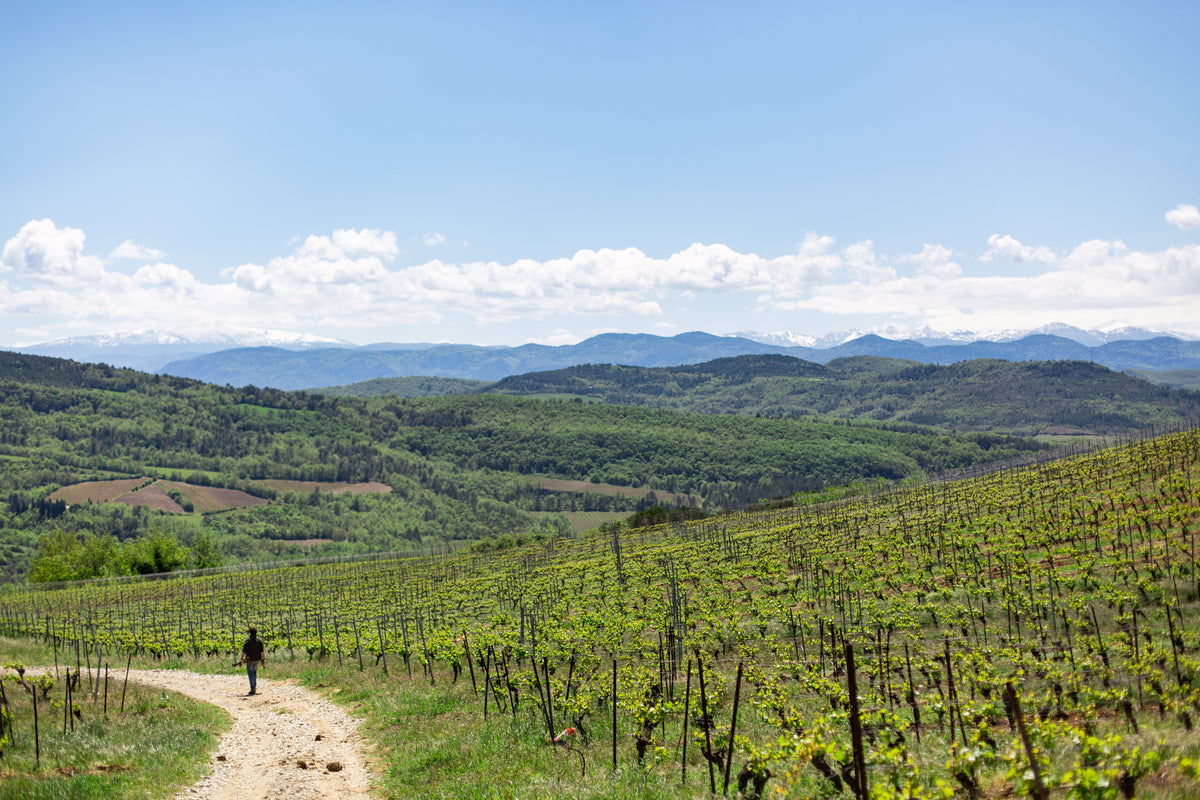 Crémant de Limoux