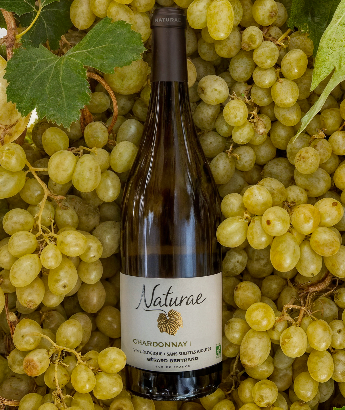 Naturae