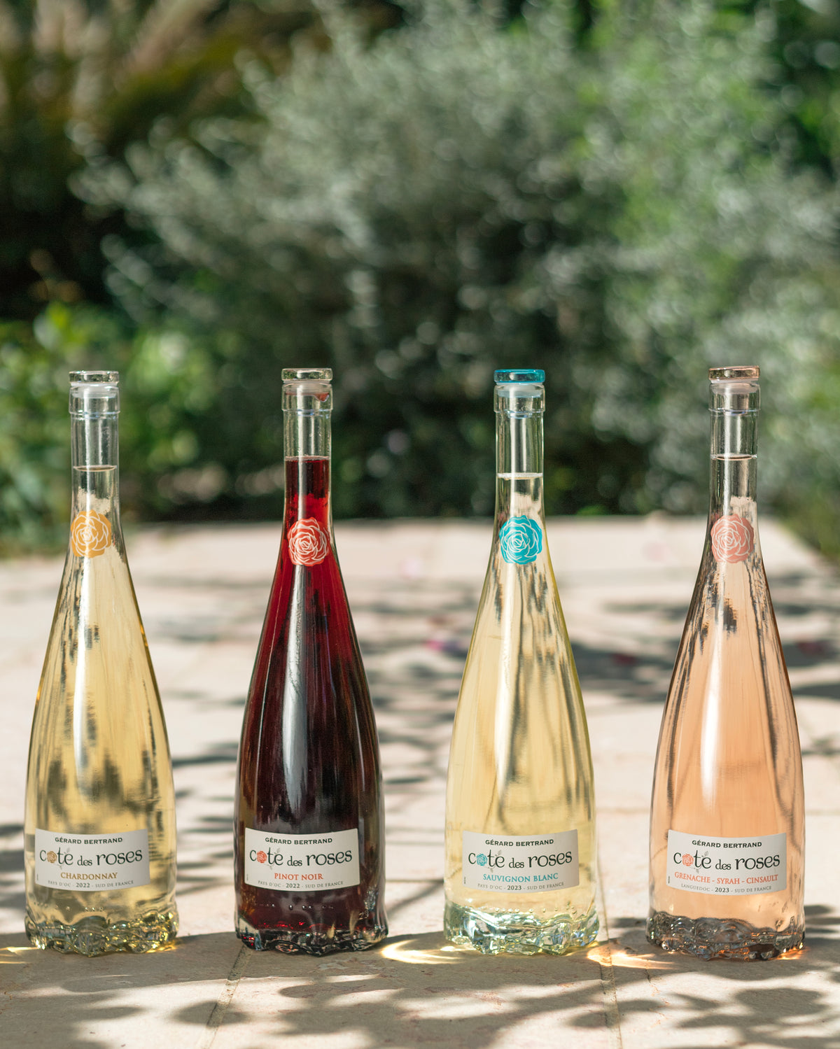 Cote des Roses vin rosé 6 demi bouteilles 37,5cl 2024 - Gérard Bertrand