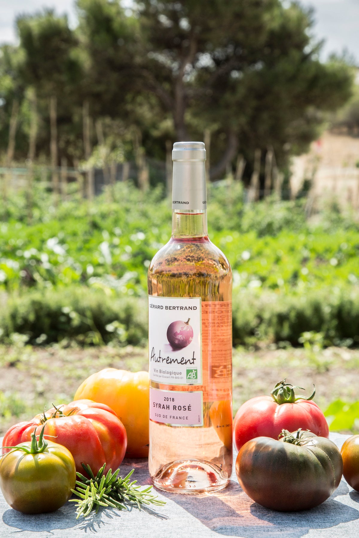 Autrement Grenache IGP Pays d'Oc 2025 – Pack of 6 bottles 75cl rosé wine