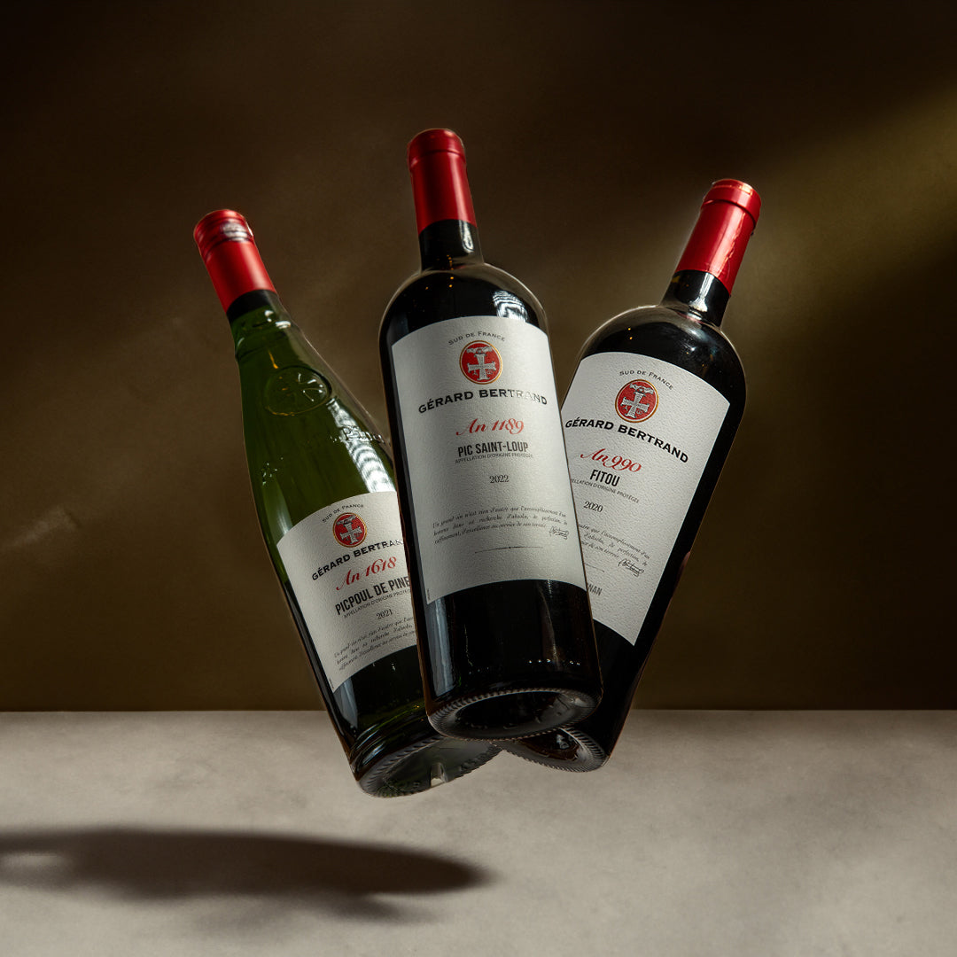 Discovering the wines of Languedoc - Box n°1 - Gérard Bertrand