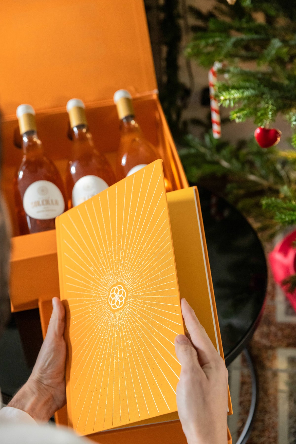 Villa Soleilla Gift Box with its collector's book