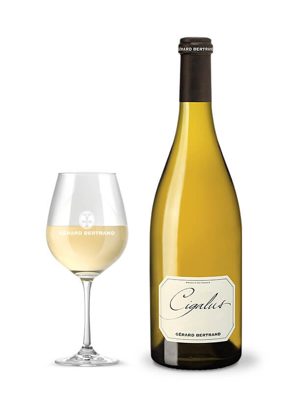 Cigalus blanc 2019 organic biodynamic wine 2 stars Hachette guide 93 Robert Parker