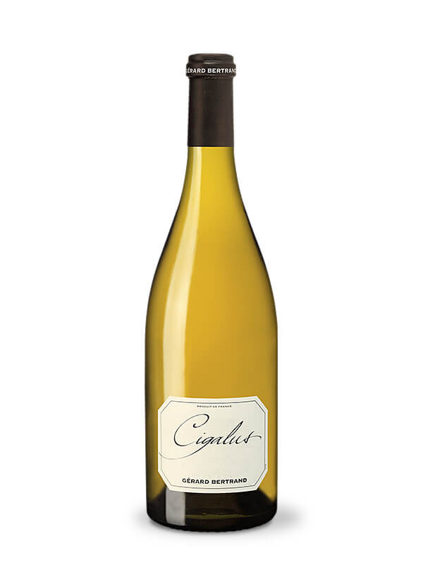 Cigalus blanc 2019 organic biodynamic wine 2 stars Hachette guide 93 Robert Parker