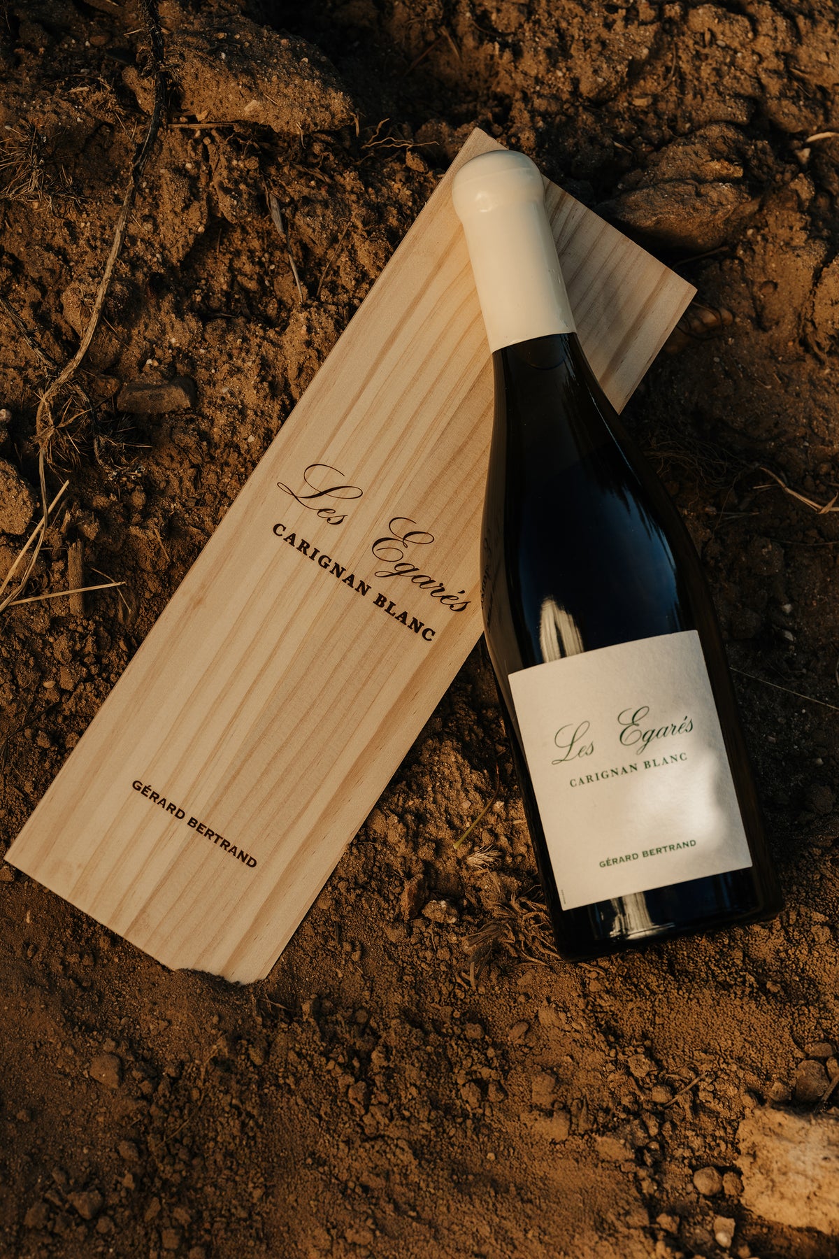 Les Égarés Carignan Blanc 2023 75cl Houten Kist Enkelvoudig - Gérard Bertrand