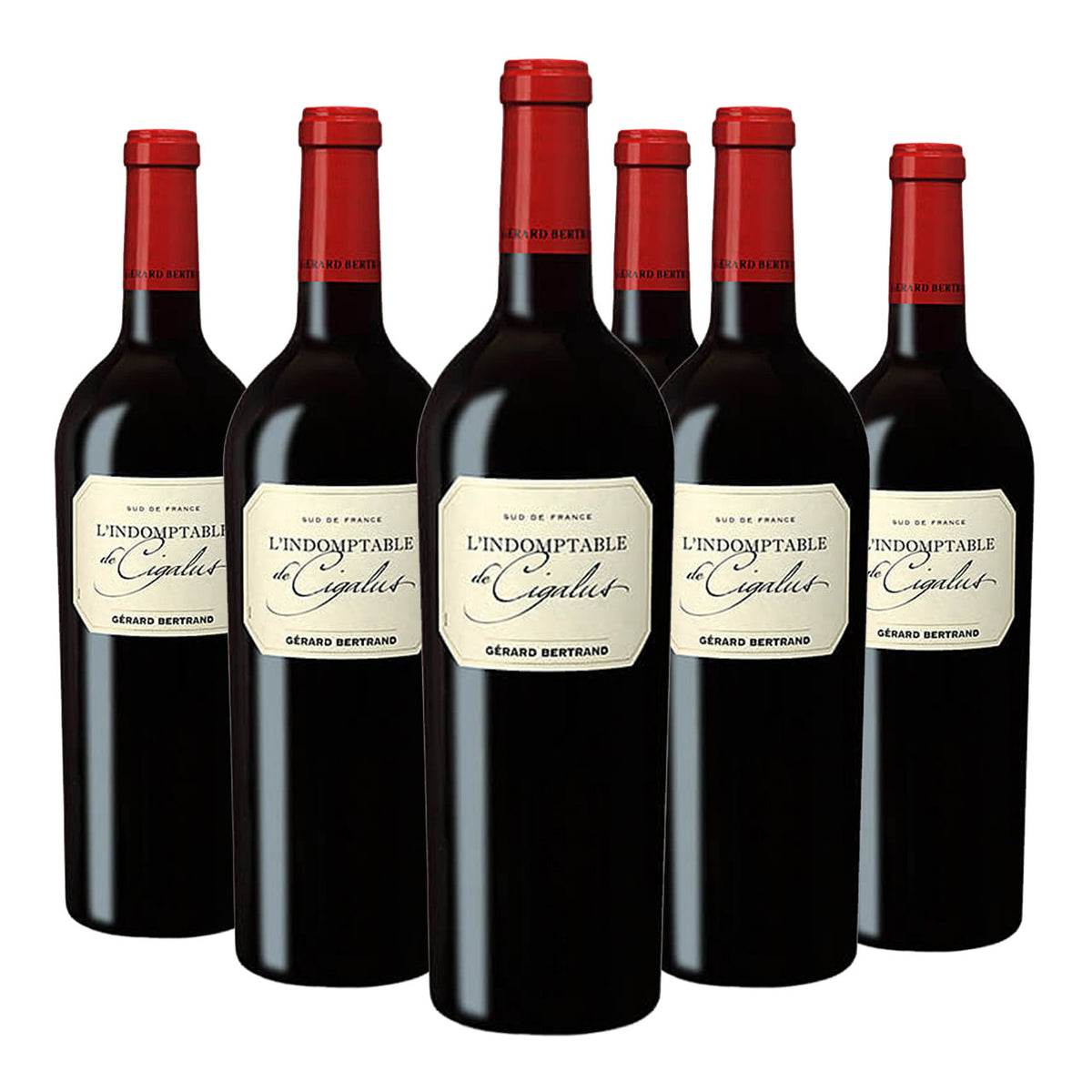 Indomptable de Cigalus IGP Pays d'Oc 2021 – Pack of 6 x 75cl bottles red wine