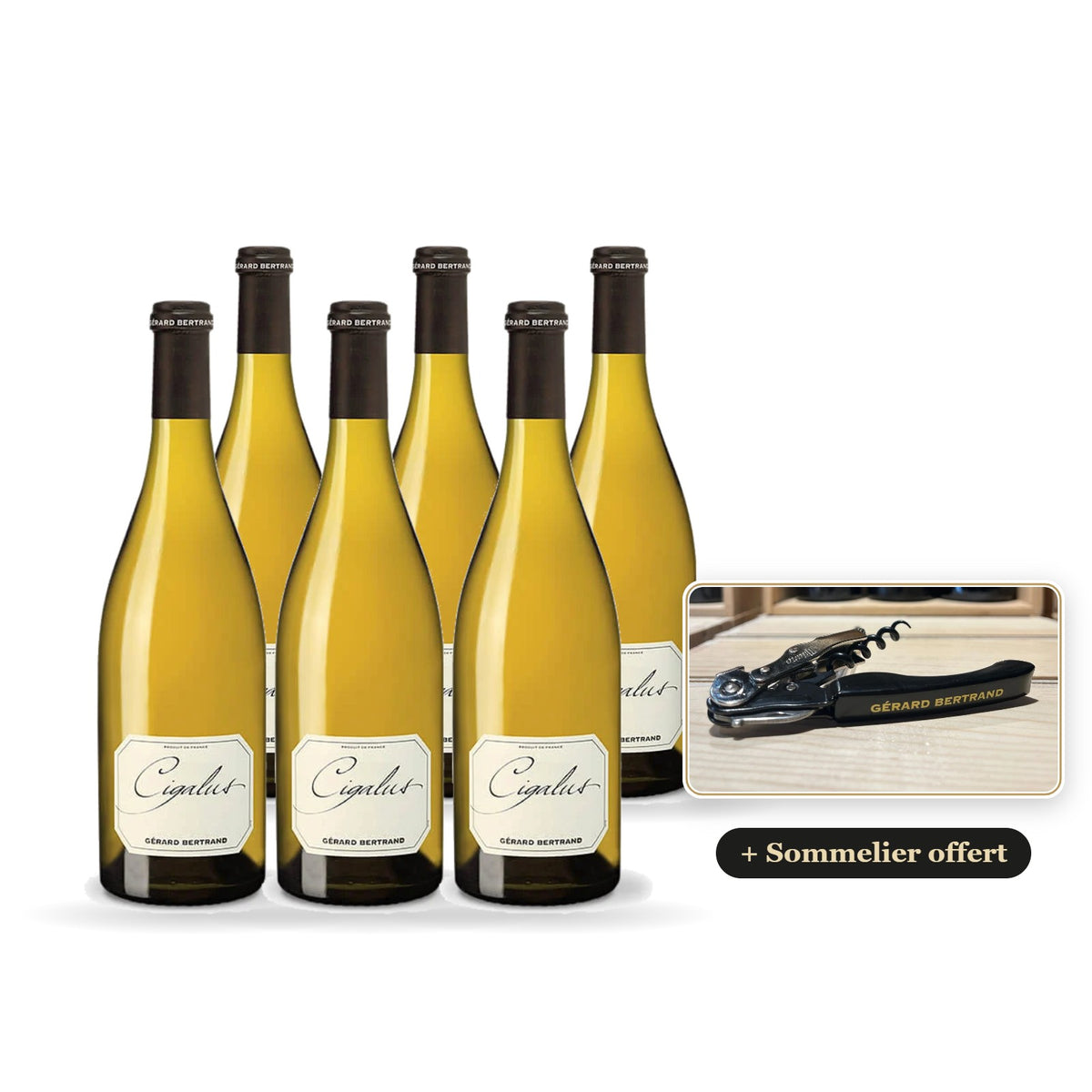 Lot de 6 Cigalus blanc 2025 avec sommelier Gérard Bertrand offert