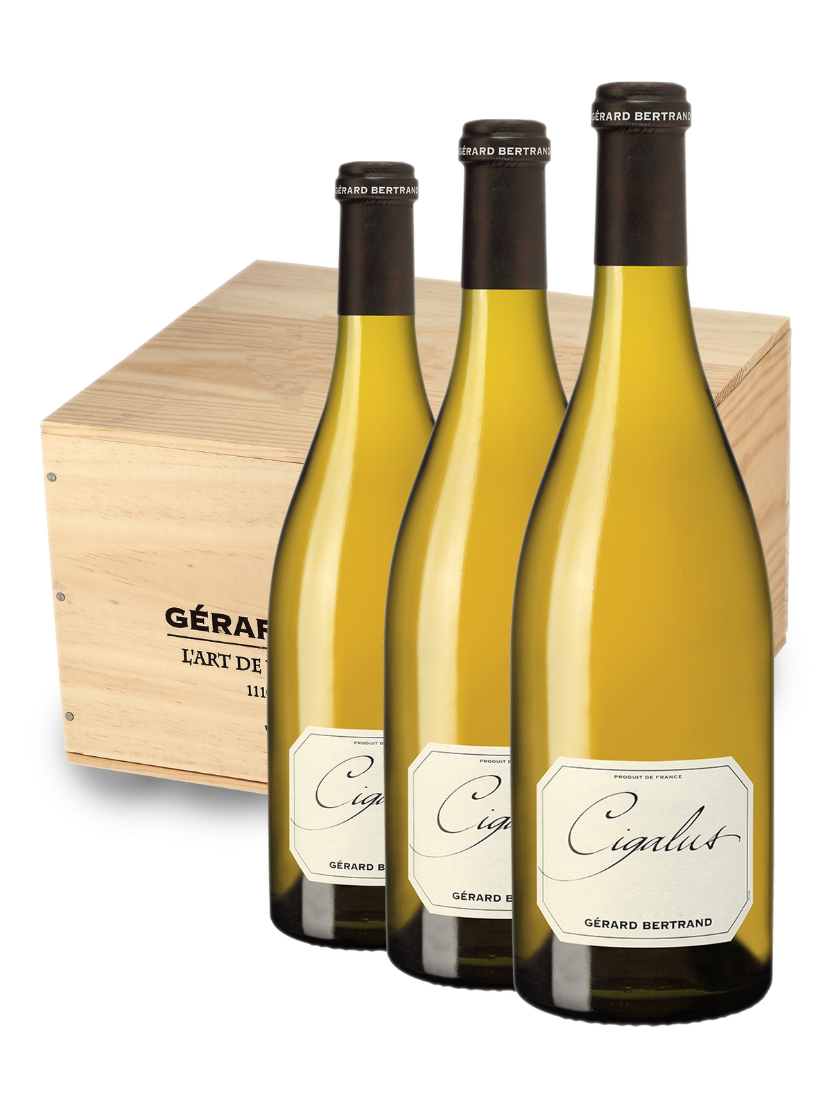Cigalus 2024 75cl biodynamic white wine Wooden Case 6 Bottles - Gérard Bertrand