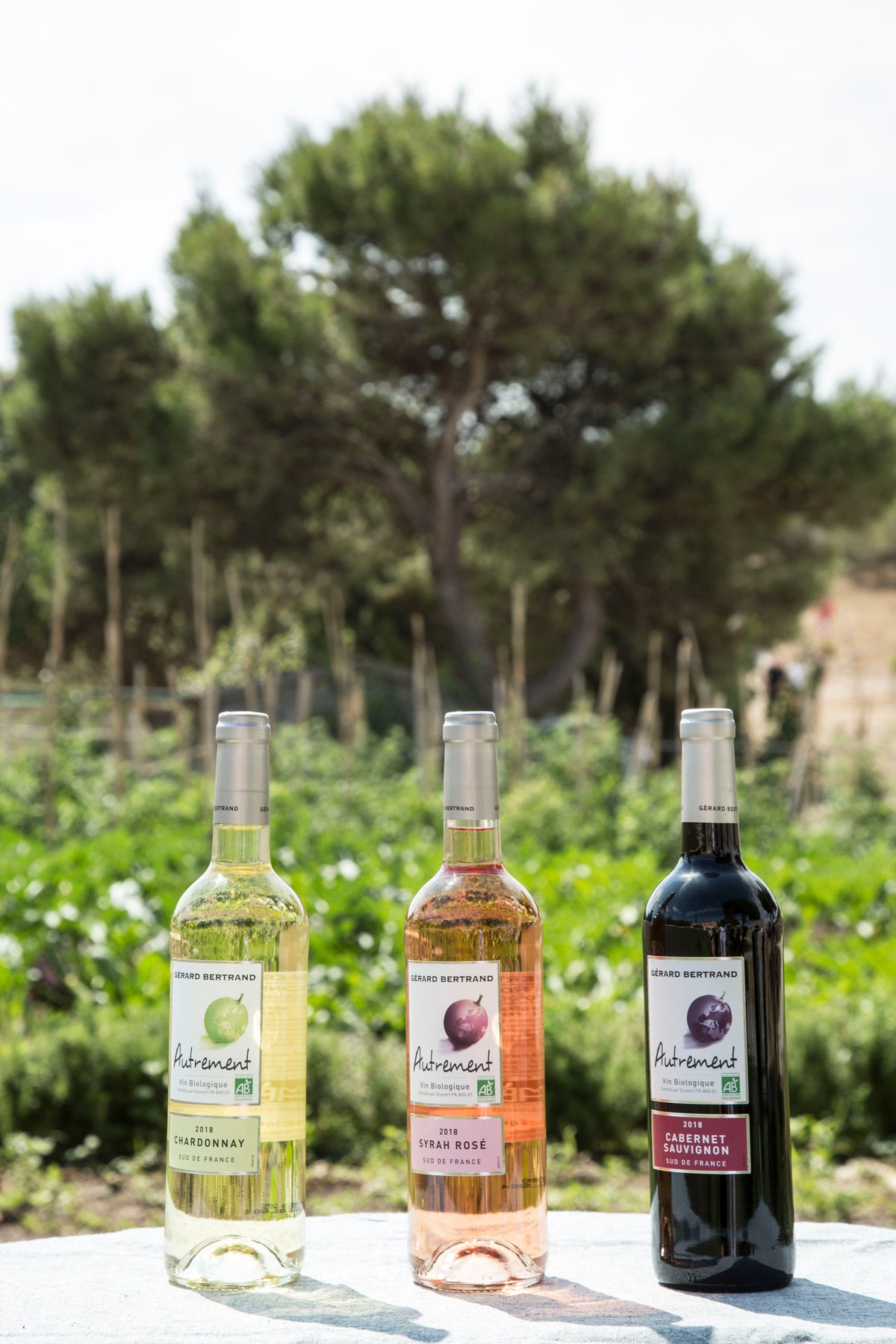 Autrement Grenache rosé 2024 set of 6 bottles 75cl - Gérard Bertrand 
