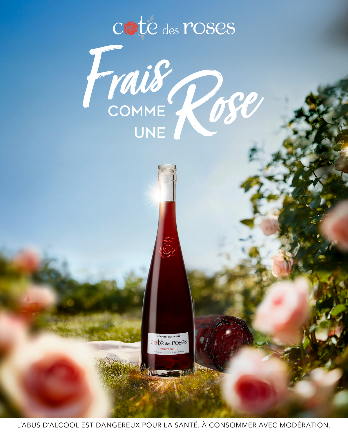Cote des Roses Pinot noir 2023 75cl vin rouge - Gérard Bertrand 