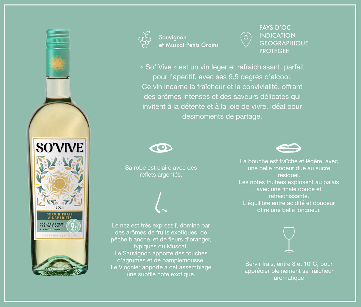 So'Vive vin blanc bio Lot 6 Bouteilles 75cl - Gérard Bertrand 