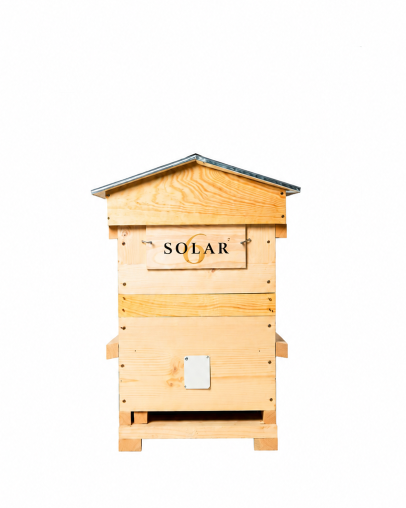 Bijenkorf Solar6