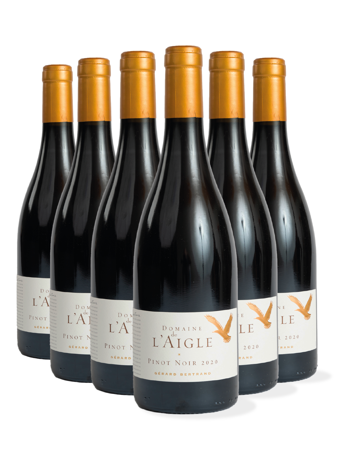 Domaine de l'Aigle Pinot Noir 2023 Lot of 6 bottles 75cl - Gérard Bertrand 